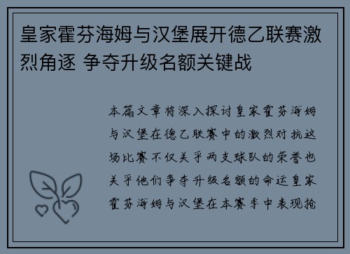 皇家霍芬海姆与汉堡展开德乙联赛激烈角逐 争夺升级名额关键战