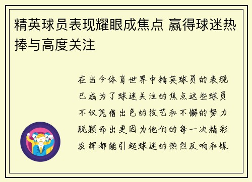 精英球员表现耀眼成焦点 赢得球迷热捧与高度关注