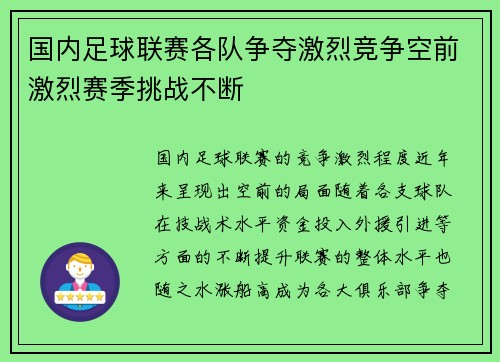 国内足球联赛各队争夺激烈竞争空前激烈赛季挑战不断