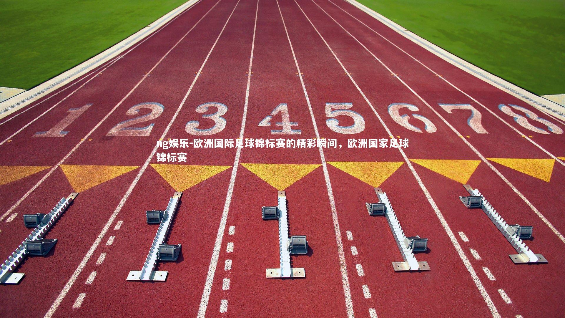 欧洲国际足球锦标赛的精彩瞬间，欧洲国家足球锦标赛