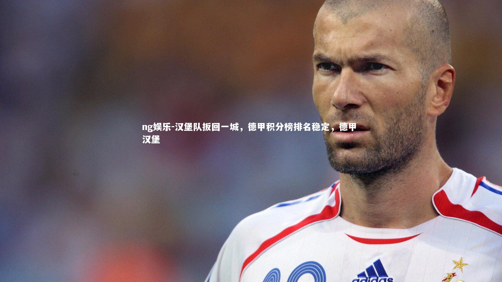 汉堡队扳回一城，德甲积分榜排名稳定，德甲 汉堡