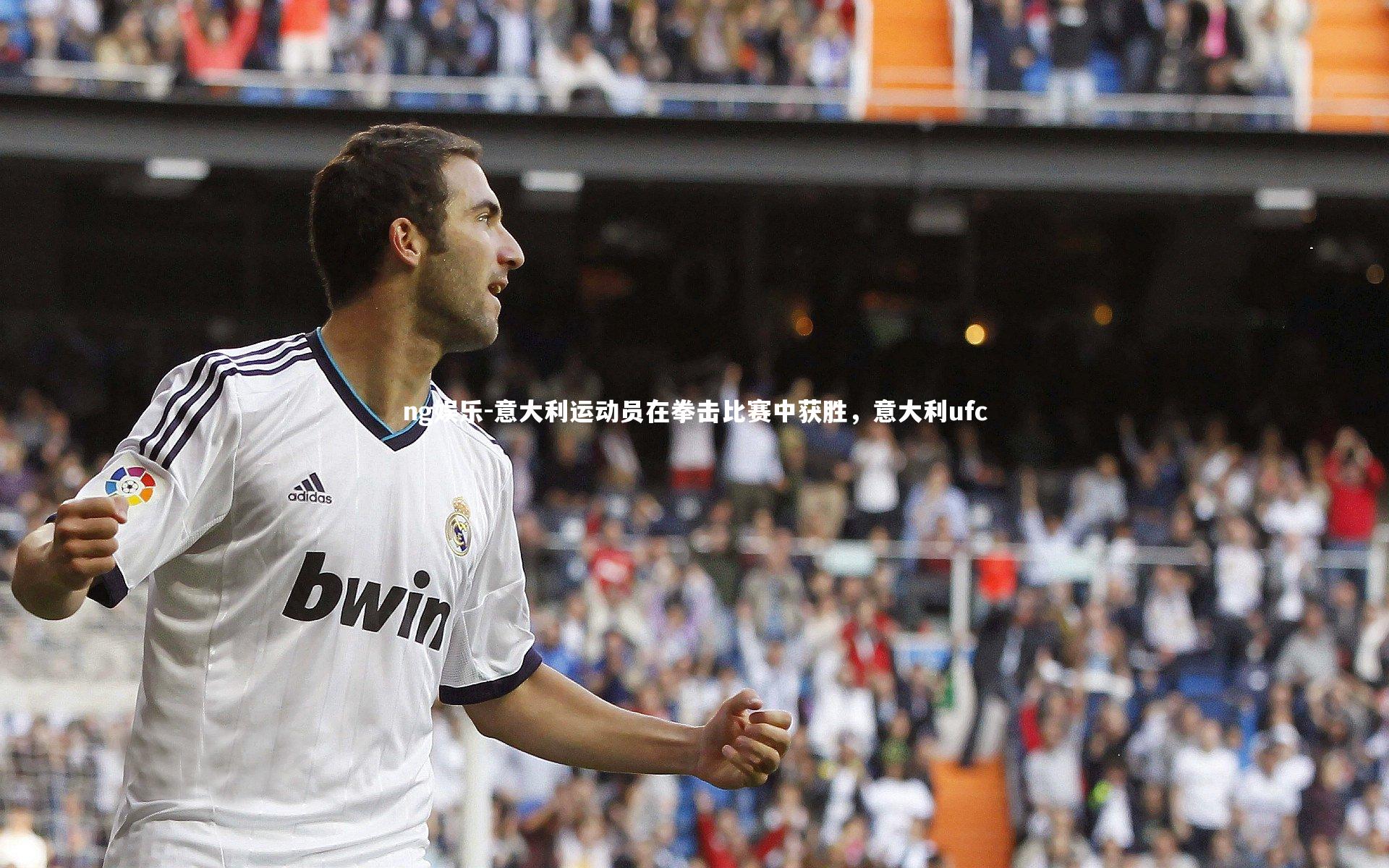 ng娱乐-意大利运动员在拳击比赛中获胜，意大利ufc